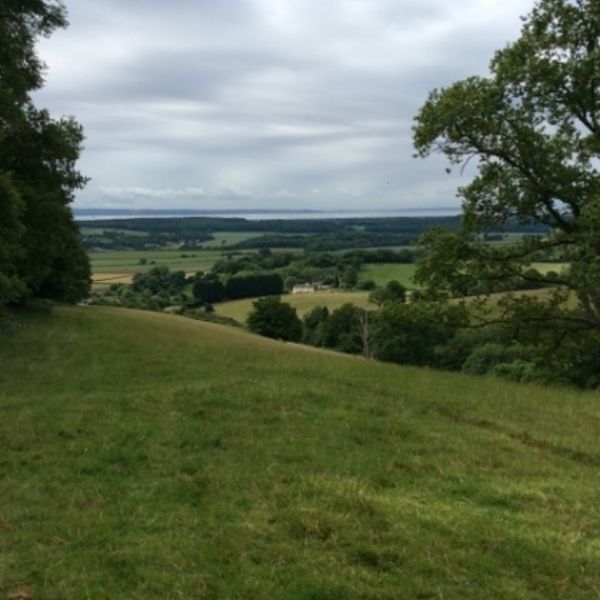 BullaceHill - 5